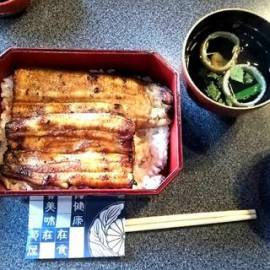 日本料理 菊屋 写真